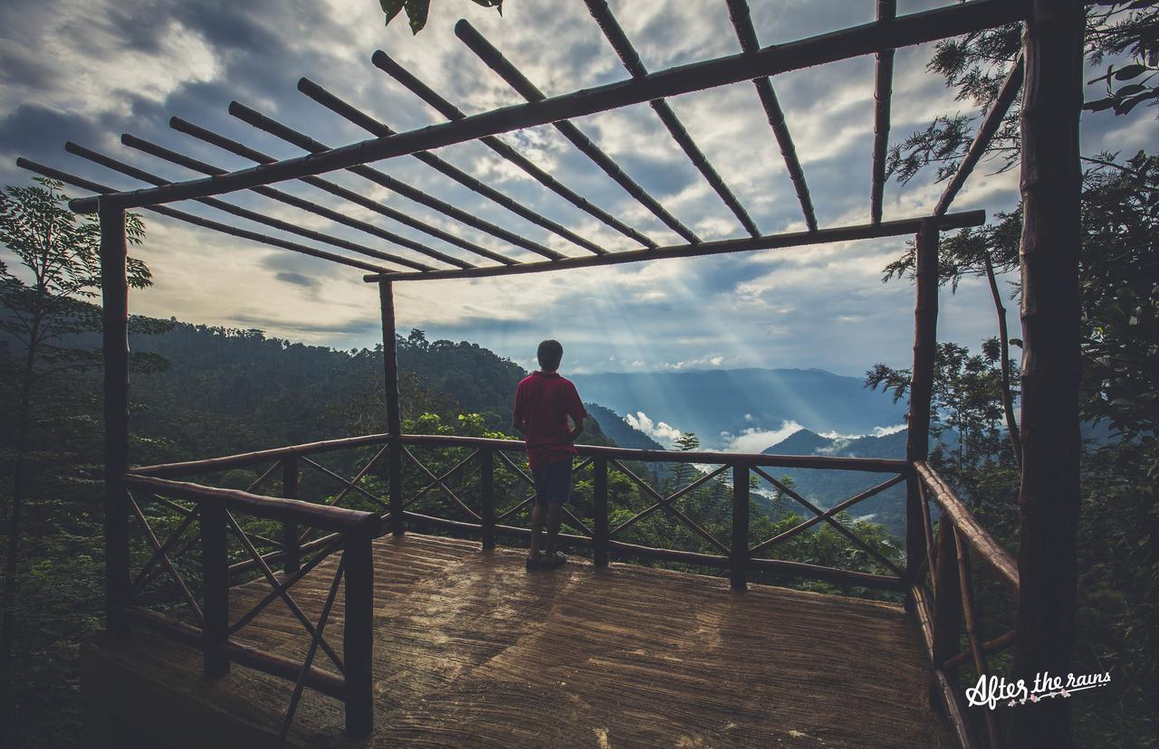 After the Rains, Rainforest Boutique Resort Meppādi Extérieur photo