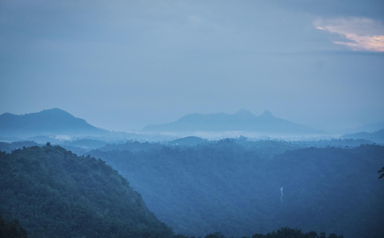 After the Rains, Rainforest Boutique Resort Meppādi Extérieur photo